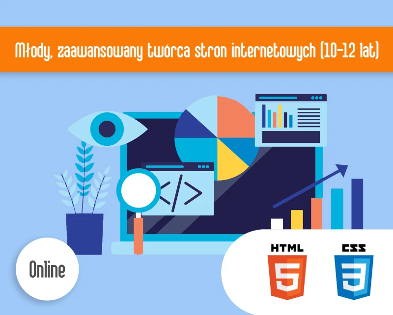 Młody, zaawansowany twórca stron internetowych ONLINE